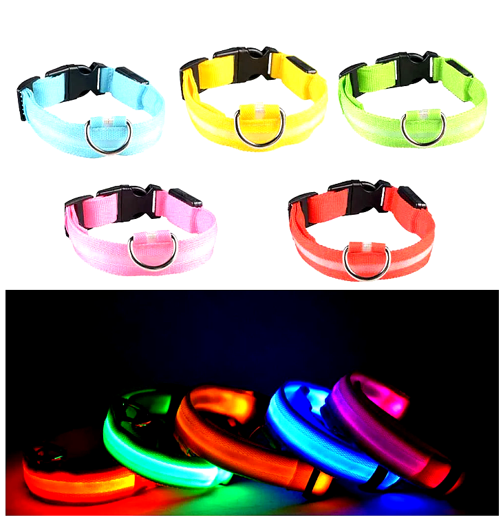 Collier LED de Sécurité pour Chien