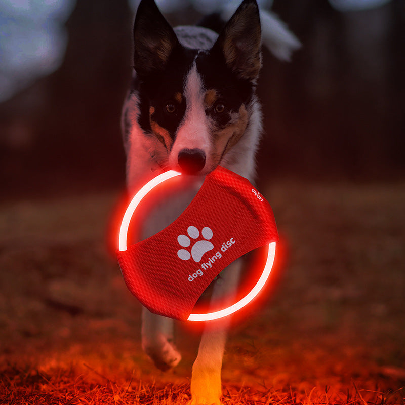 Disques Volants pour Chiens