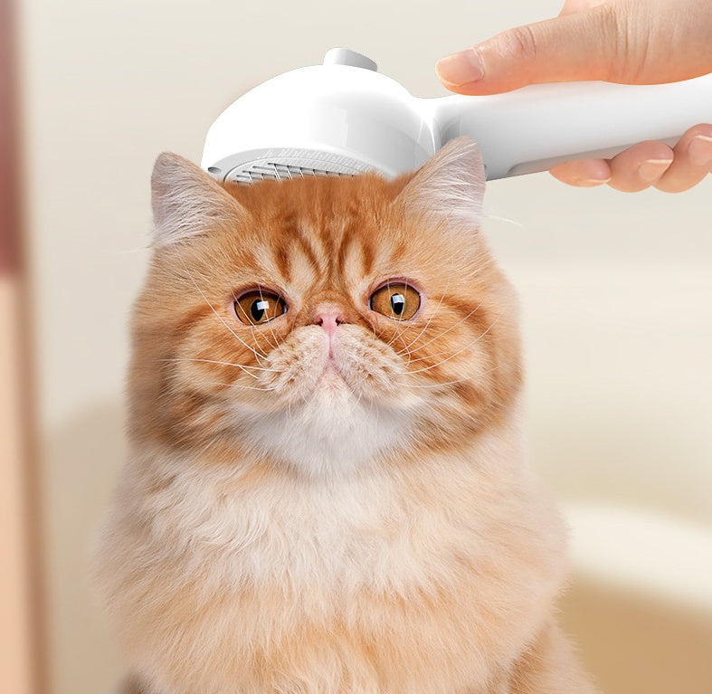 Peigne pour Animaux de Compagnie