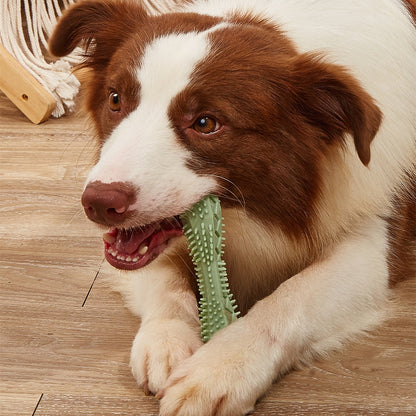 Jouets à mâcher pour le nettoyage des dents des chiens