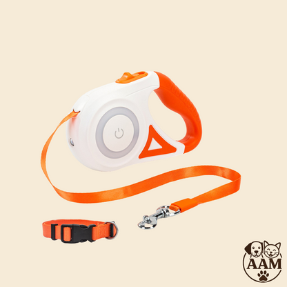 Ensemble laisse et collier rétractables pour chien