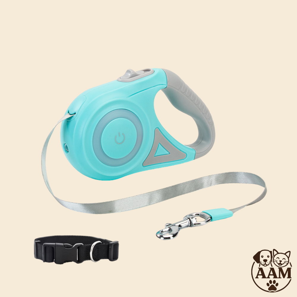 Ensemble laisse et collier rétractables pour chien