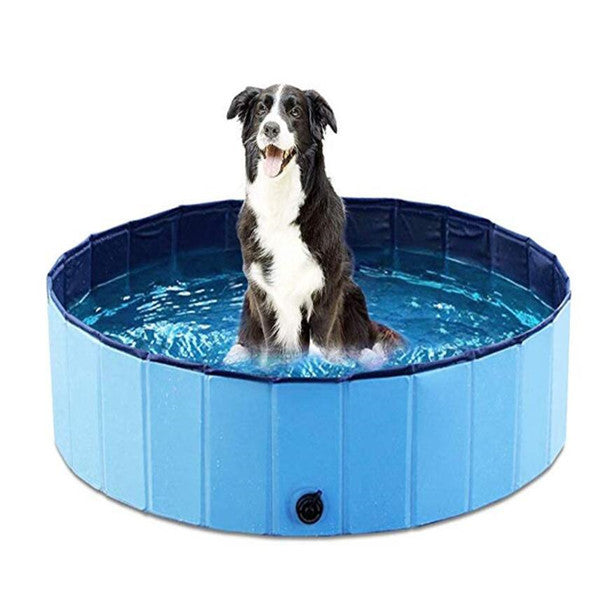 Piscine Pliable pour Animaux de Compagnie