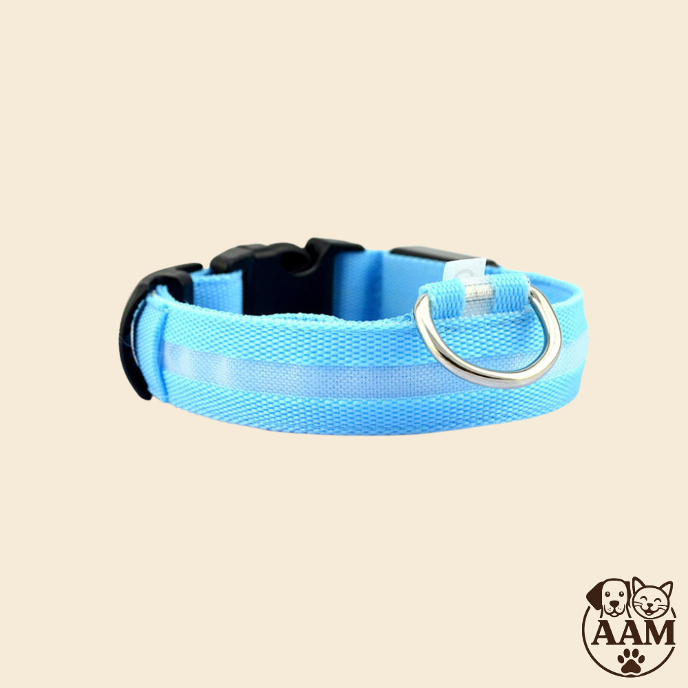 Collier LED de Sécurité pour Chien
