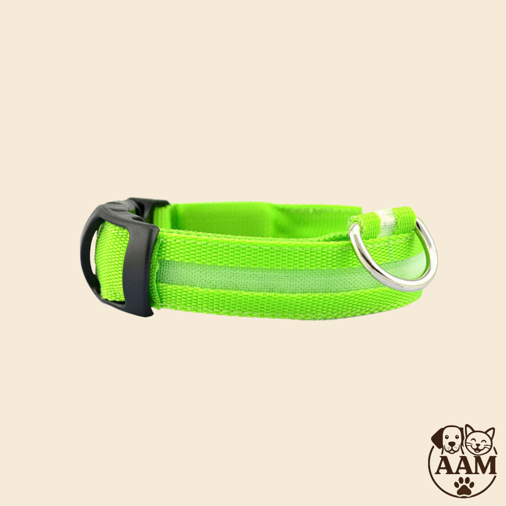 Collier LED de Sécurité pour Chien