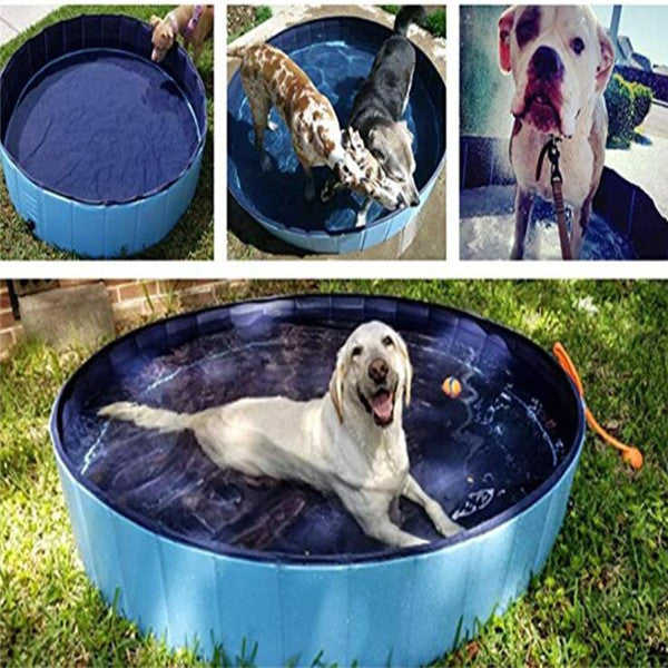 Piscine Pliable pour Animaux de Compagnie