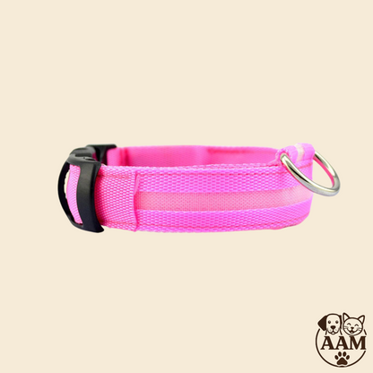 Collier LED de Sécurité pour Chien