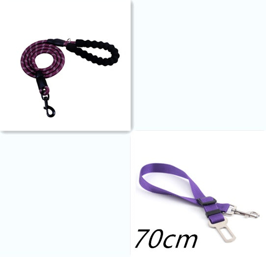 Laisse Réfléchissante en Nylon pour Chien