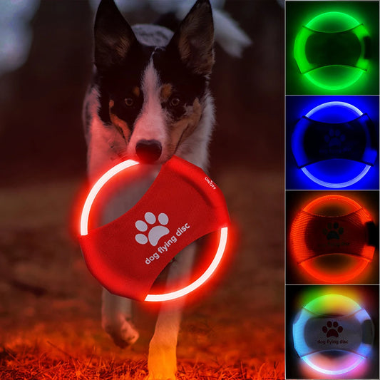 Disques Volants pour Chiens