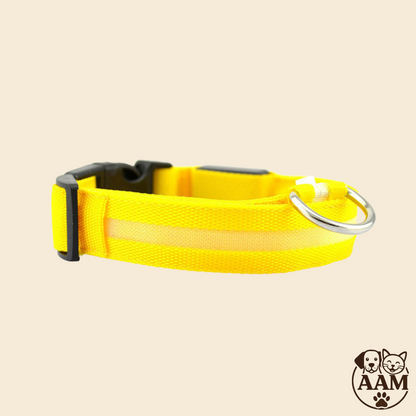 Collier LED de Sécurité pour Chien