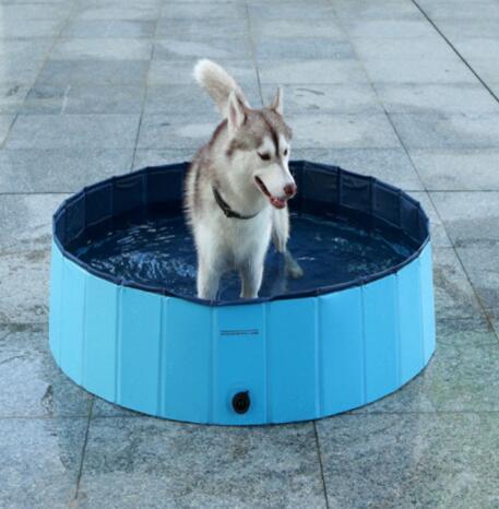 Piscine Pliable pour Animaux de Compagnie