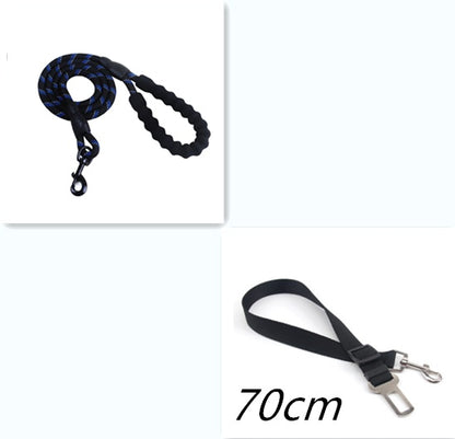 Laisse Réfléchissante en Nylon pour Chien