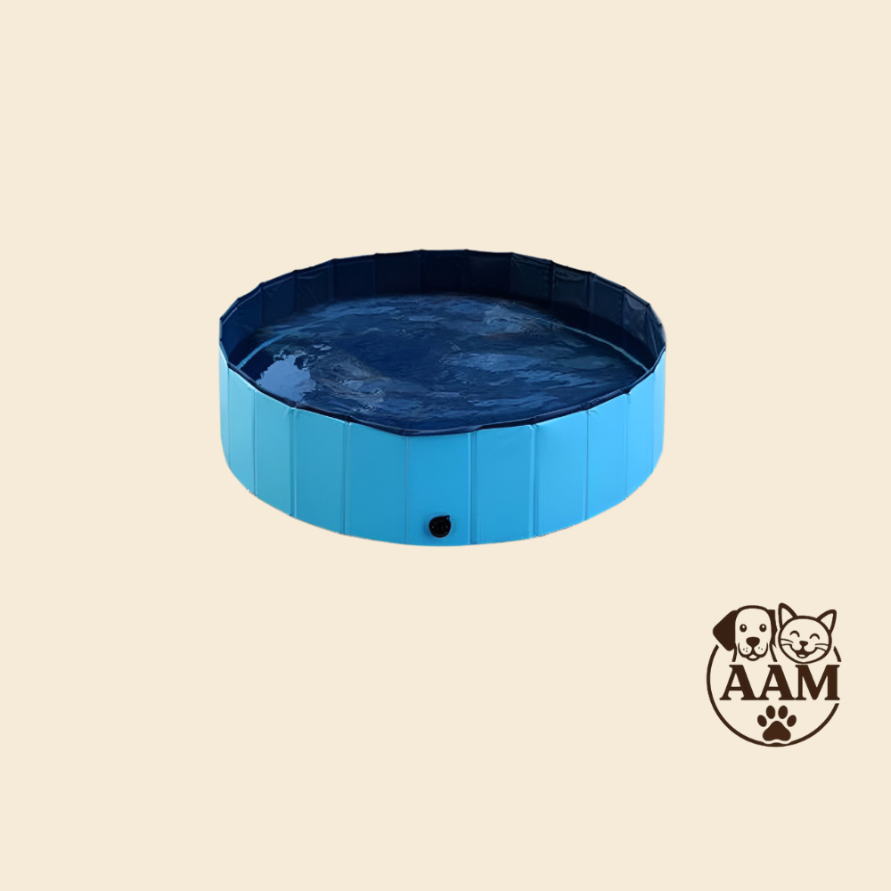 Piscine Pliable pour Animaux de Compagnie