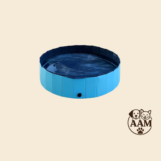Piscine Pliable pour Animaux de Compagnie