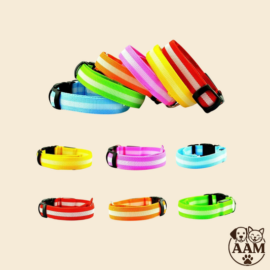 Collier LED de Sécurité pour Chien