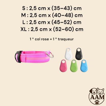 Collier LED de Sécurité pour Chien