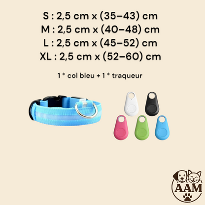 Collier LED de Sécurité pour Chien